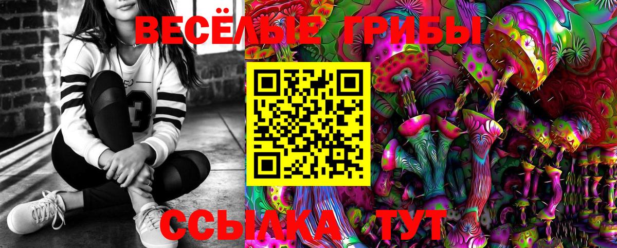 Галлюциногенные грибы мицелий Александров